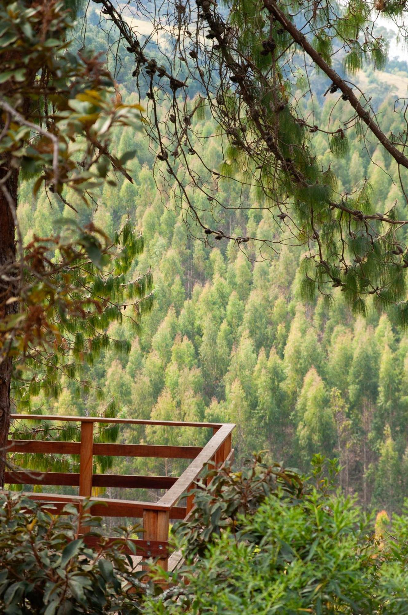Pousada Recanto Do Saua - Monte Verde Monte Verde  Kültér fotó
