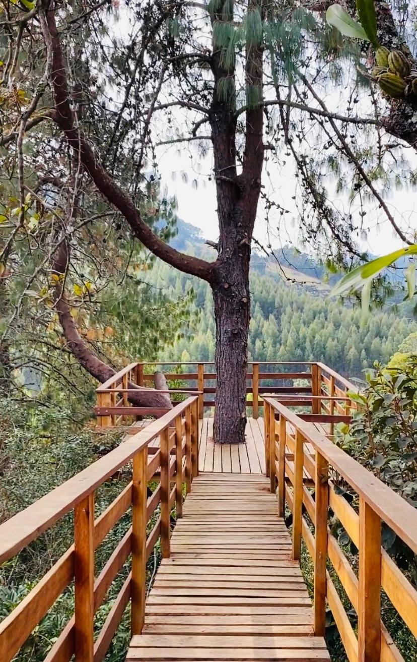 Pousada Recanto Do Saua - Monte Verde Monte Verde  Kültér fotó
