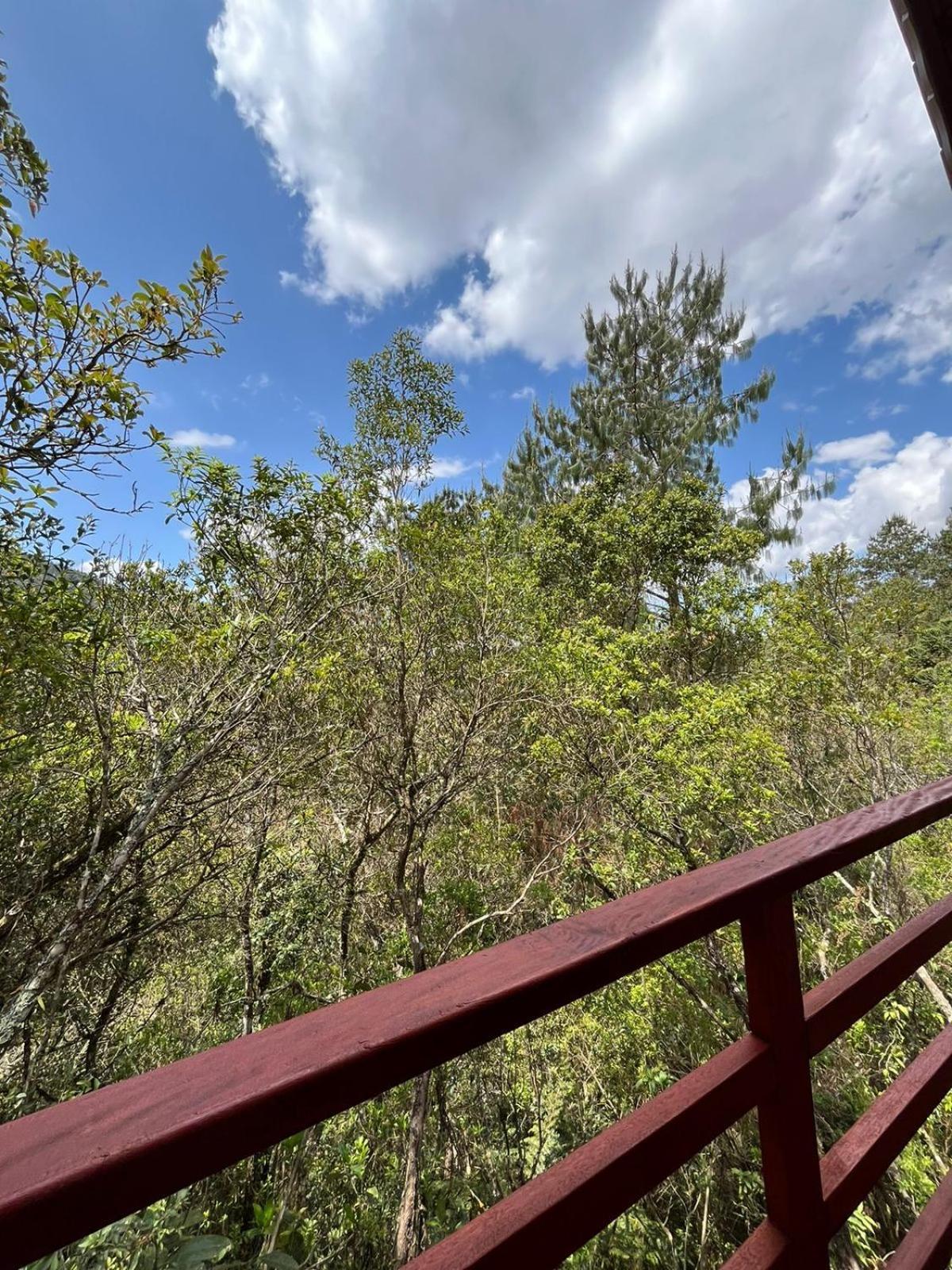 Pousada Recanto Do Saua - Monte Verde Monte Verde  Szoba fotó